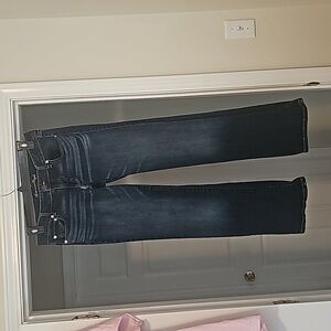 American Eagle Favorite Boyfriend y2k Jean, Size 14 Long